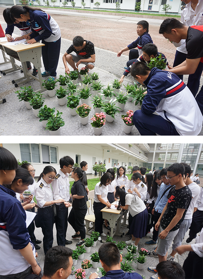 2016060804.jpg 2016060804.jpg